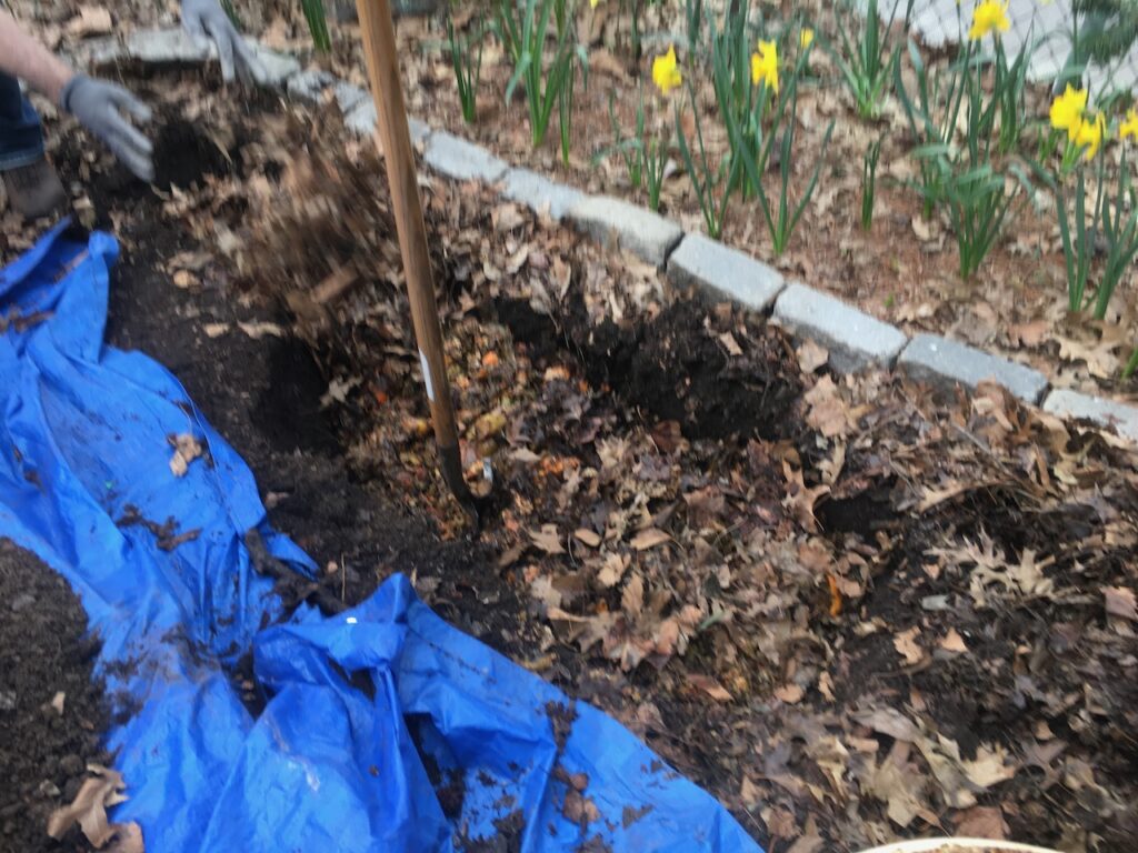 bokashi process Down to Earth Garden